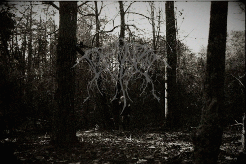 Demvr : In the Room Demvr : In the Room